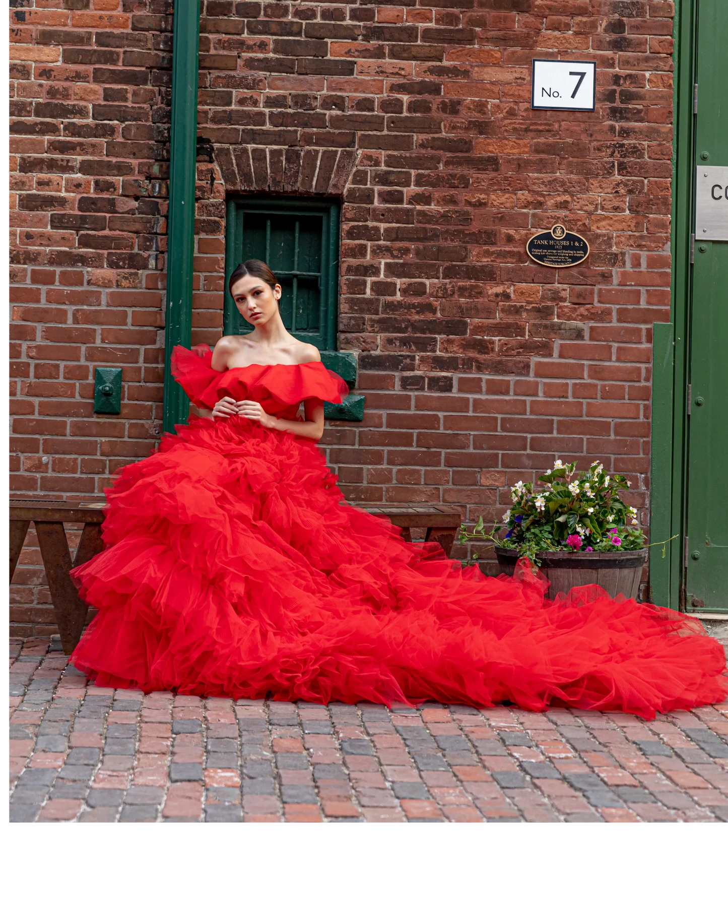 long train engagement shoot dress rental
