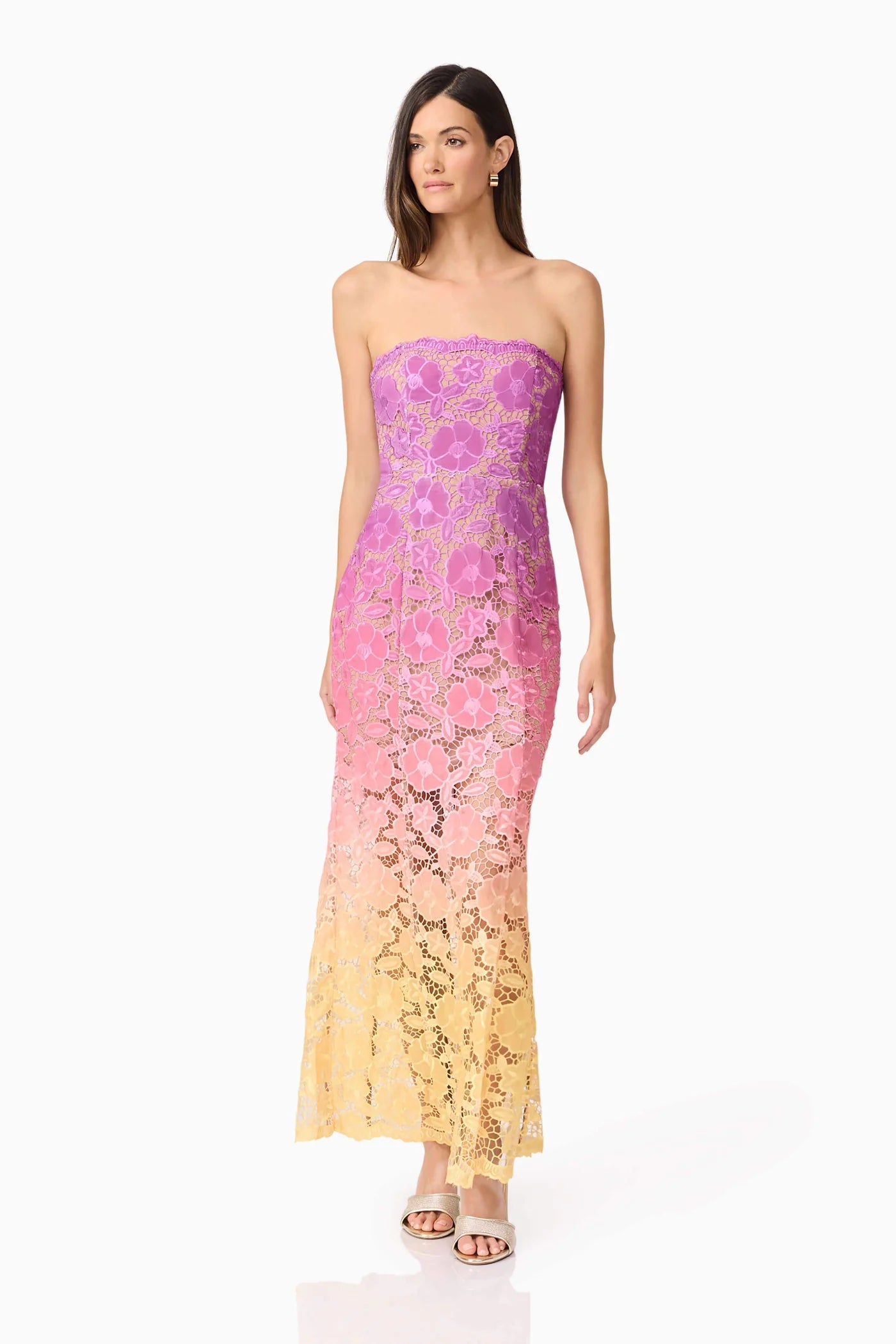 Elliatt - Mesmerizing Ombre Lace Maxi Dress