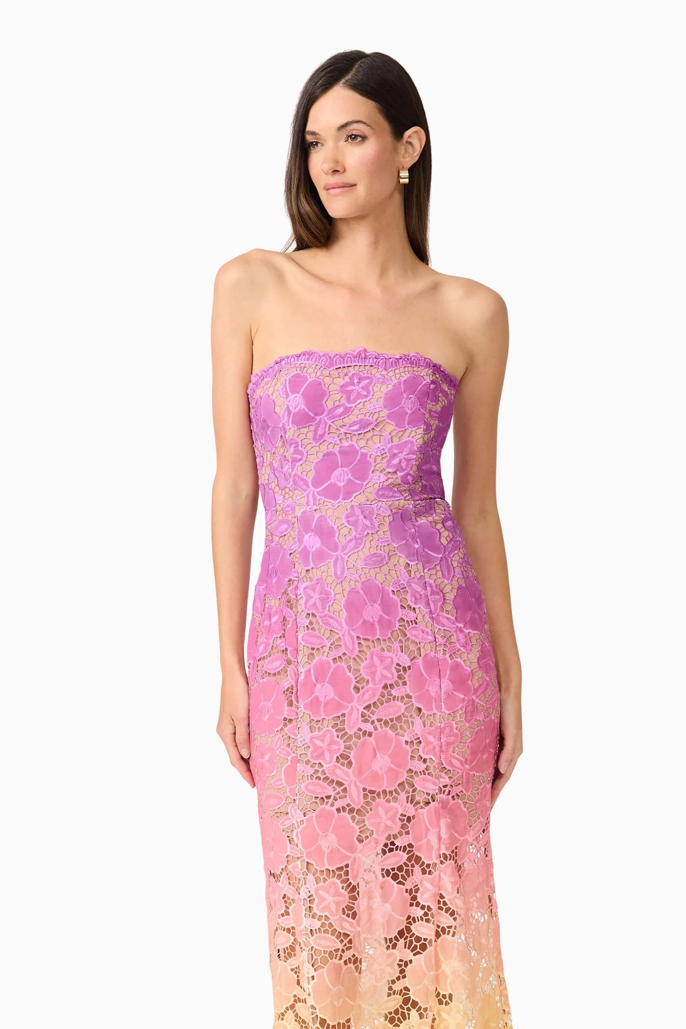 Elliatt - Mesmerizing Ombre Lace Maxi Dress Rent the Couture Elliatt - Mesmerizing Ombre Lace Maxi Dress Rent the Couture