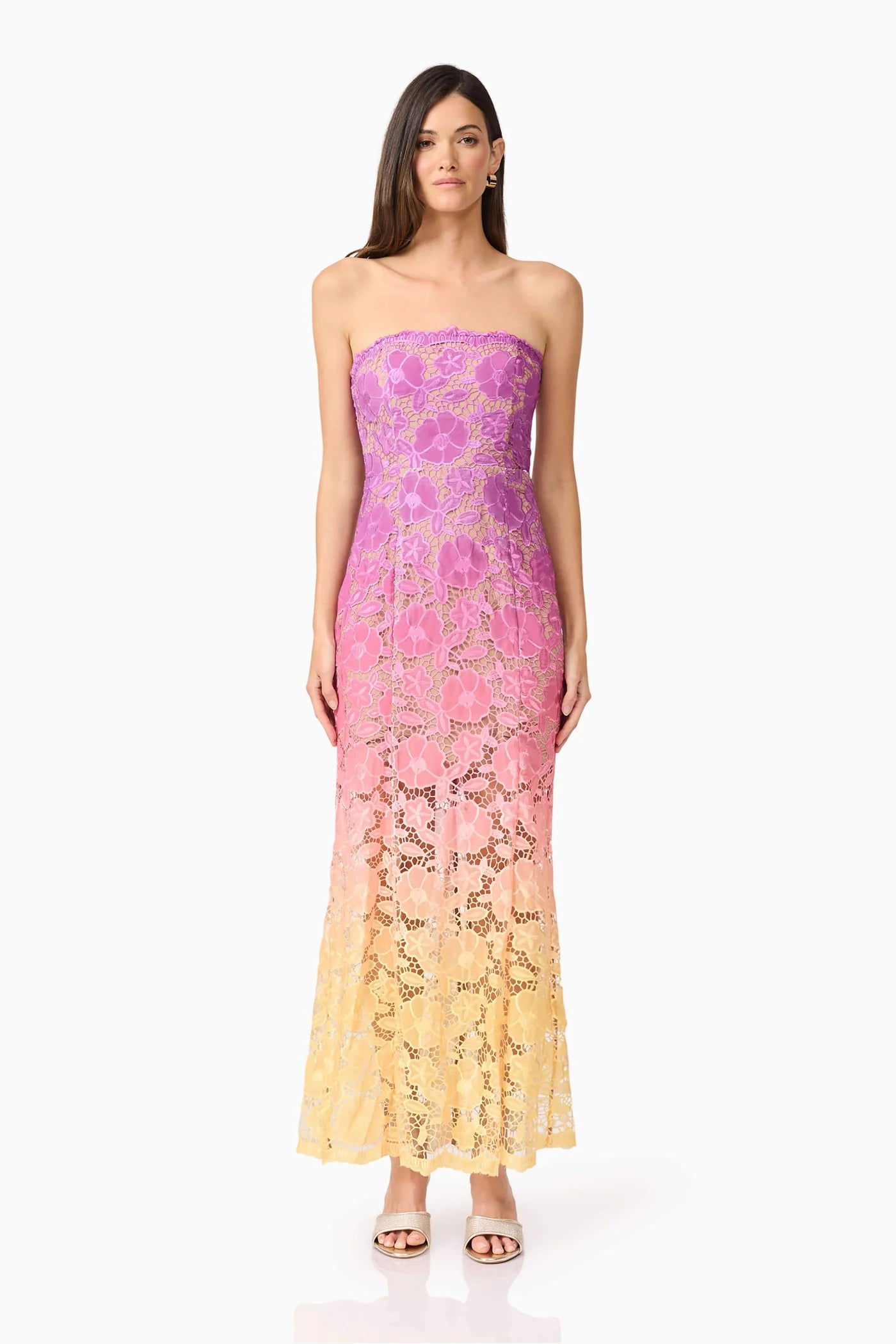 Elliatt - Mesmerizing Ombre Lace Maxi Dress