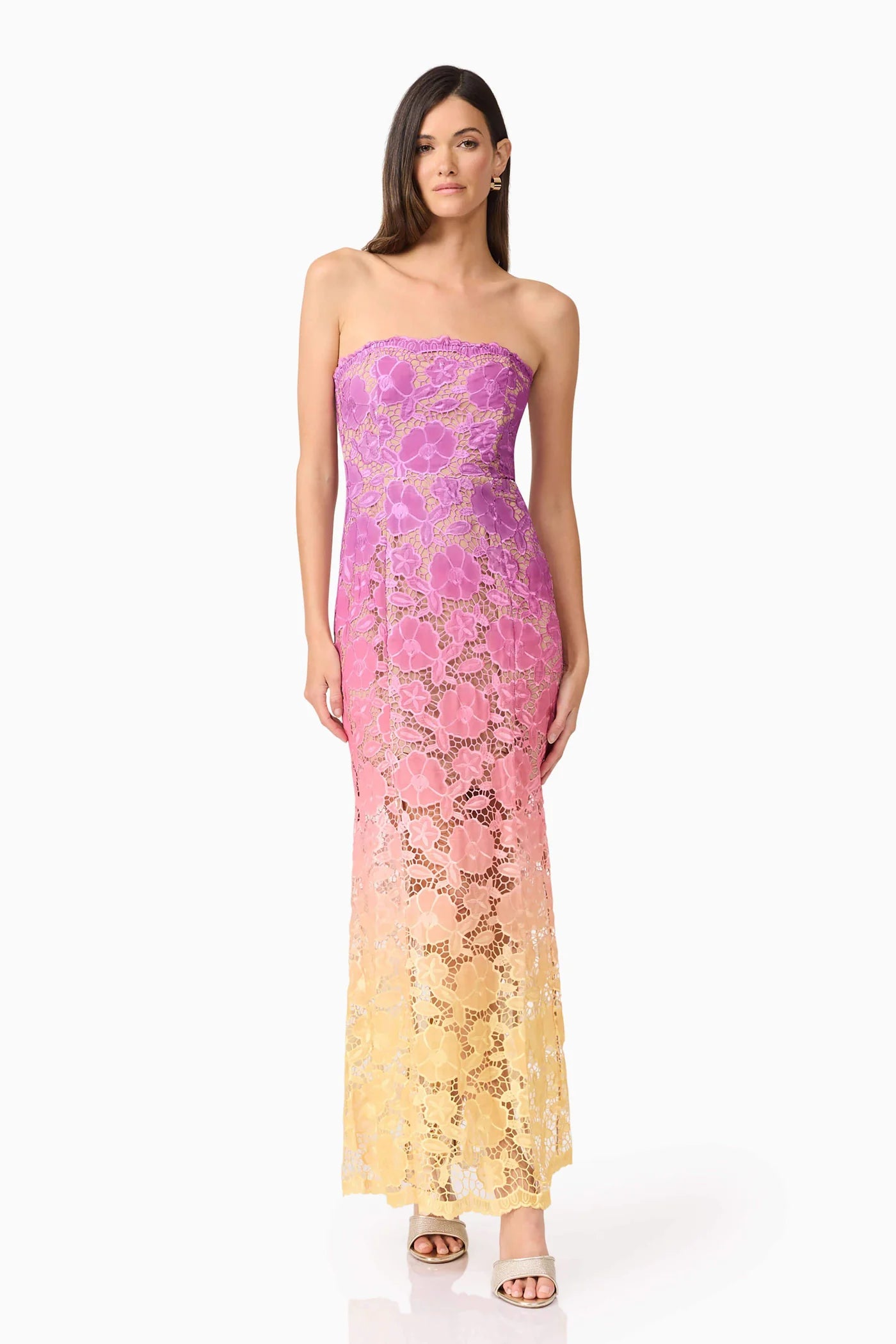 Elliatt - Mesmerizing Ombre Lace Maxi Dress